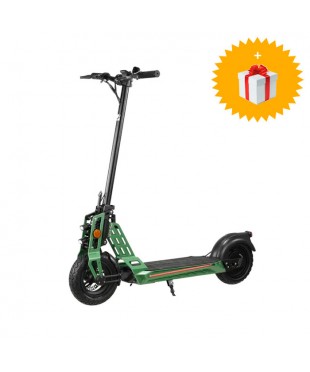 Электросамокат WS-TAIGA 800 W ARMY GREEN