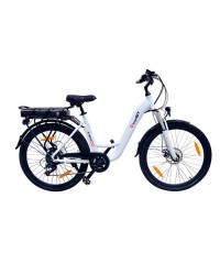 Электровелосипед iconBIT E-BIKE K9